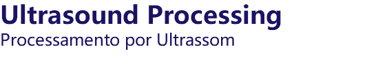 Ultrasound Processing Processamento por Ultrassom